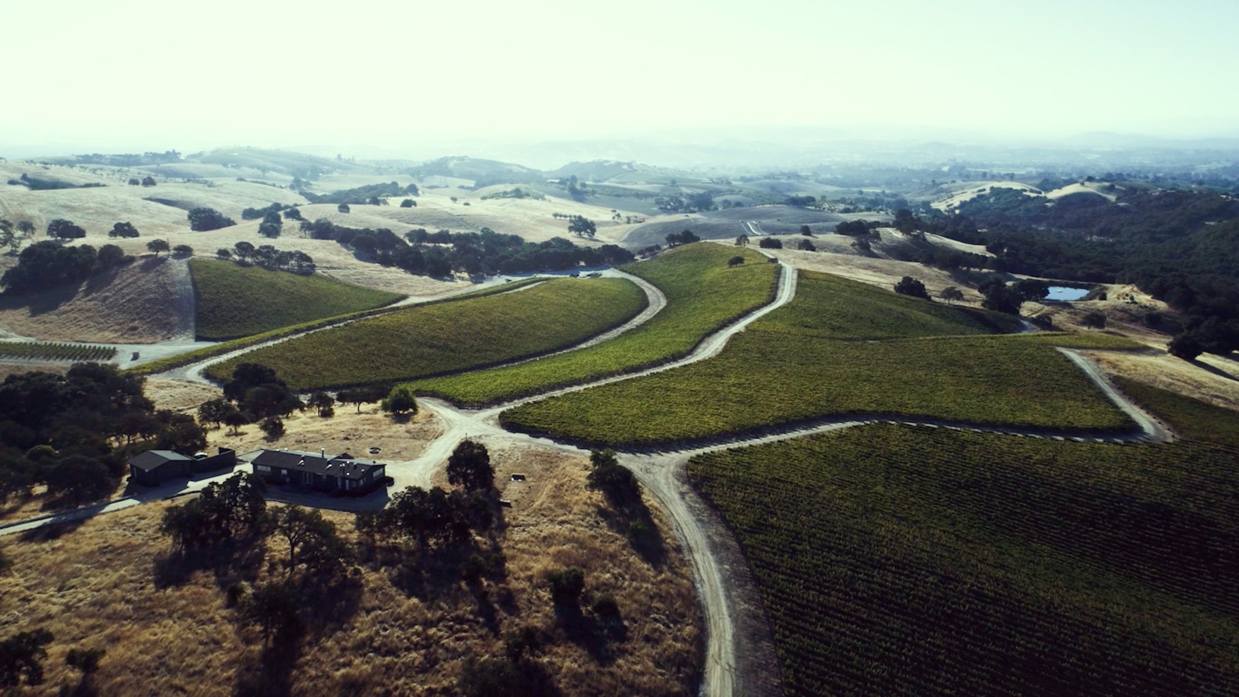 Aerial view of 95404 wine country